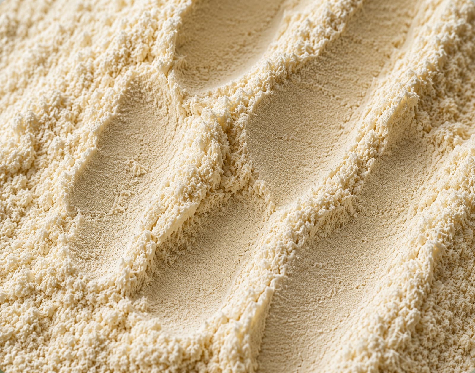 Lion's mane mushroom powder